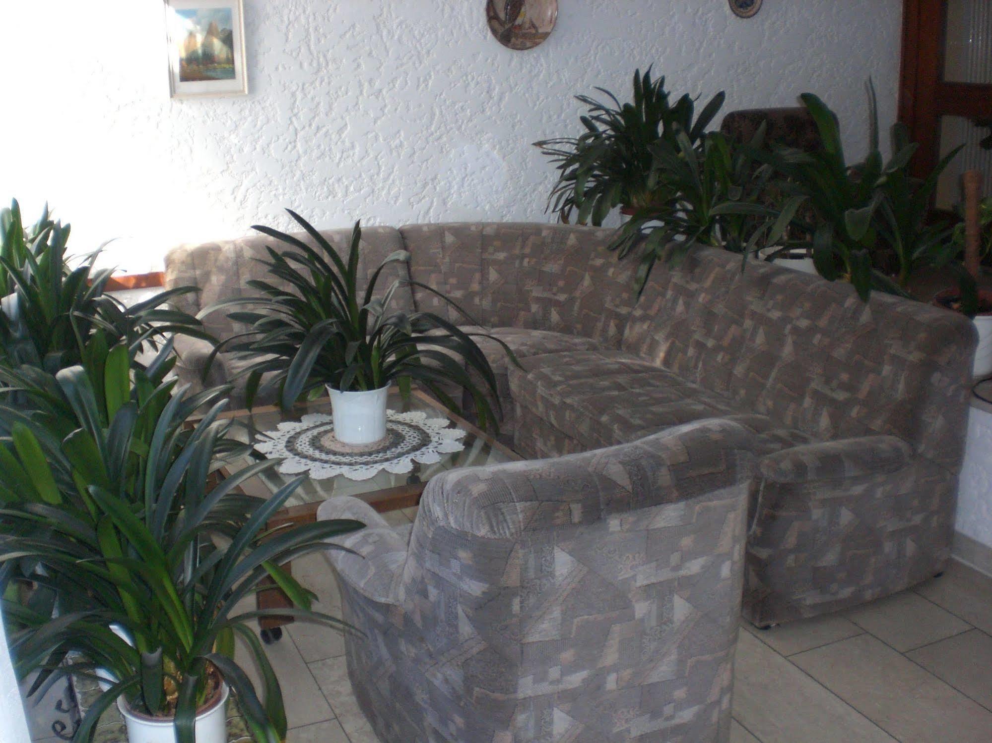 באד ברנק אים פיכטלגבירגה Hotel Pension Bluechersruh מראה חיצוני תמונה